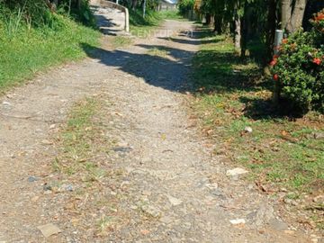 Kavling Dekat Pusat Kota Di Komplek IPB Baranangsiang 4 Bogor