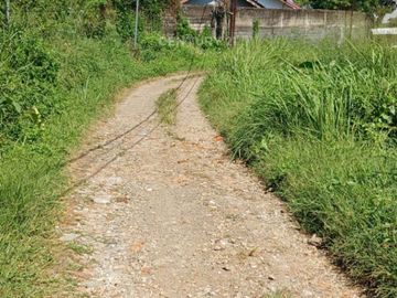 Kavling Dekat Pusat Kota Di Komplek IPB Baranangsiang 4 Bogor