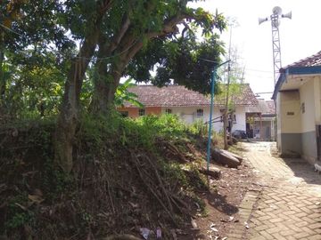 [493C80] Jual Tanah 305m2 - Purwosari, East Java