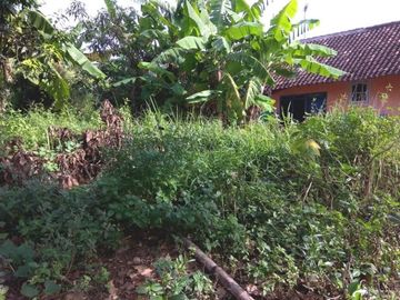 [493C80] Jual Tanah 305m2 - Purwosari, East Java