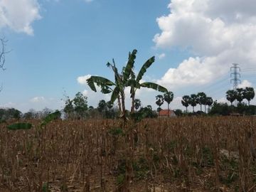 Dijual Tanah Di Desa Bektiharjo, Kec. Semanding, Kec Tuban