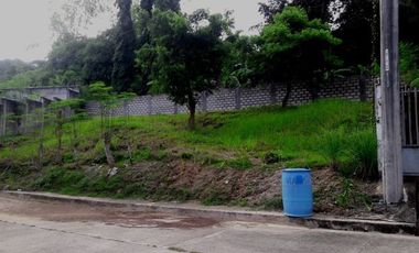 160 Sqm Elevated Residential Lot for Sale near Talamban Cebu City