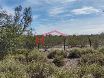 TERRENO EN VENTA SOBRE CARRETERA A BAHIA DE KINO