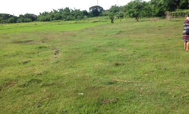 Titled Residential Lot For Sale, San Fernando City, La Union