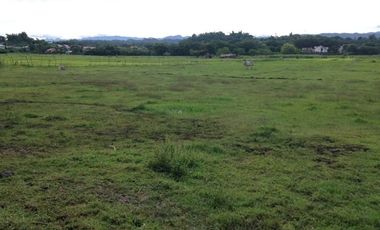 Titled Residential Lot For Sale, San Fernando City, La Union