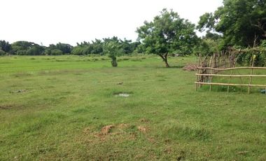 Titled Residential Lot For Sale, San Fernando City, La Union