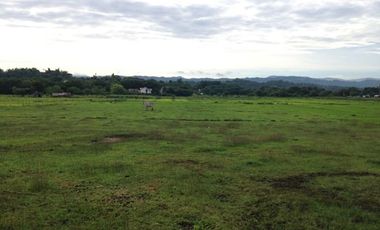 Titled Residential Lot For Sale, San Fernando City, La Union