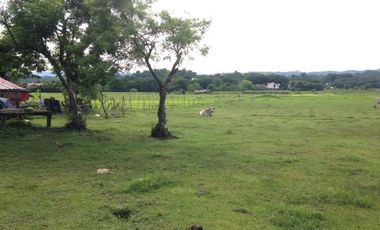 Titled Residential Lot For Sale, San Fernando City, La Union