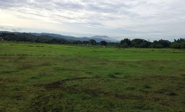 Titled Residential Lot For Sale, San Fernando City, La Union