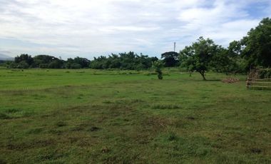 Titled Residential Lot For Sale, San Fernando City, La Union