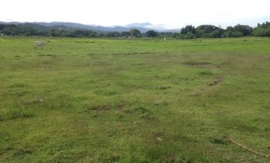 Titled Residential Lot For Sale, San Fernando City, La Union