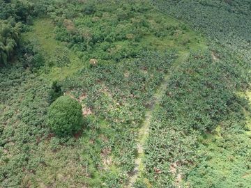 Finca de Venta en Santo Domingo