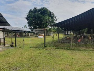 Finca de Venta en Santo Domingo