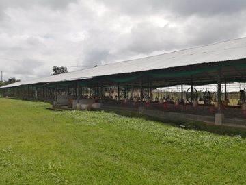 Finca de Venta en Santo Domingo