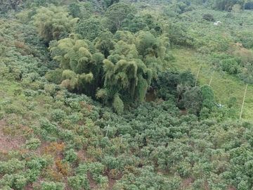 Finca de Venta en Santo Domingo