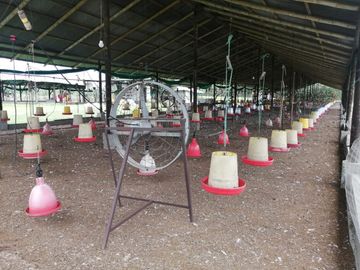 Finca de Venta en Santo Domingo