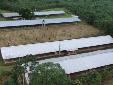 Finca de Venta en Santo Domingo