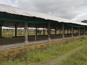 Finca de Venta en Santo Domingo