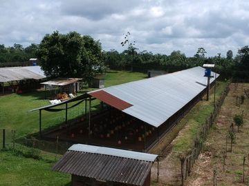 Finca de Venta en Santo Domingo
