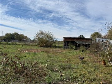 Venta de dos casas en parcela de 5000 mt2, Pelarco