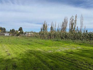 Venta de dos casas en parcela de 5000 mt2, Pelarco