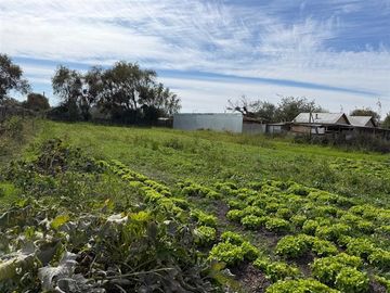 Venta de dos casas en parcela de 5000 mt2, Pelarco