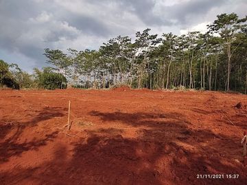 Tanah Dekat Jalan Karanganyar-Doro Pekalongan, SHM, Cicil 12x