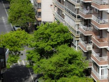Departamento 4 dormitorios en Santa Fe 1758