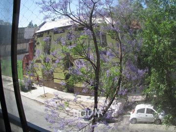 Departamento Club Hipico ID: 143205s