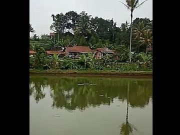 Dijual Cepat Tanah Murah 2,8 Ha Di Cigunung Kota Sukabumi