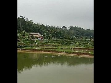 Dijual Cepat Tanah Murah 2,8 Ha Di Cigunung Kota Sukabumi