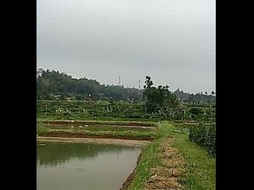 Dijual Cepat Tanah Murah 2,8 Ha Di Cigunung Kota Sukabumi