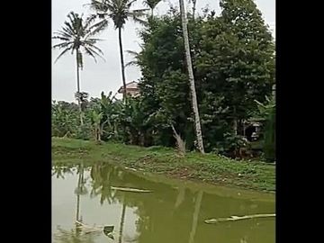 Dijual Cepat Tanah Murah 2,8 Ha Di Cigunung Kota Sukabumi