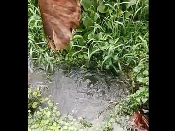 Dijual Cepat Tanah Murah 2,8 Ha Di Cigunung Kota Sukabumi