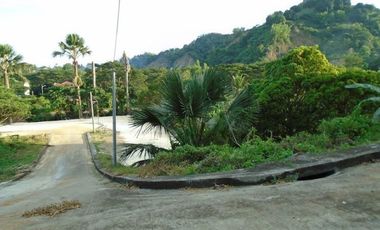 Overlooking 145 Sqm Lot for Sale near Talamban Cebu City with Mountain View