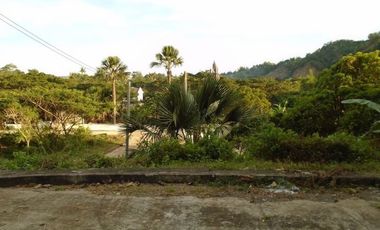 Overlooking 145 Sqm Lot for Sale near Talamban Cebu City with Mountain View