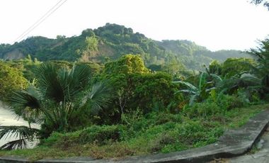 Overlooking 145 Sqm Lot for Sale near Talamban Cebu City with Mountain View