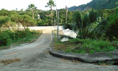 Overlooking 145 Sqm Lot for Sale near Talamban Cebu City with Mountain View