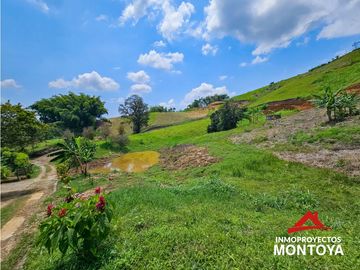 Vista inigualable🔥 Casas en parcelación, Las Camelias