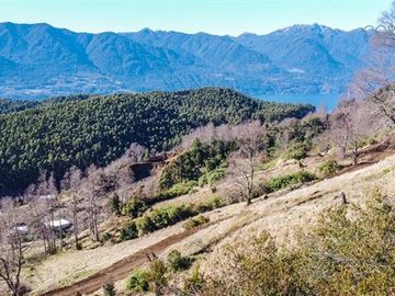 Parcela en Venta en Lago Riñihue