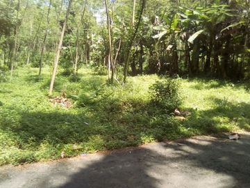 Tanah Pekarangan Selatan Kampus UII di Jalan Kaliurang