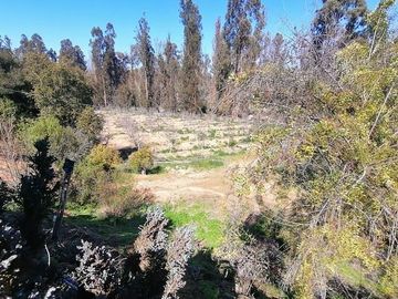 Parcela en Venta en Fundo Los Perales
