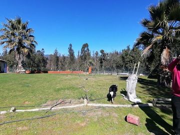 Parcela en Venta en Fundo Los Perales