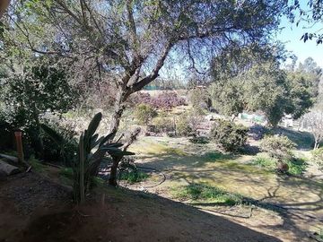 Parcela en Venta en Fundo Los Perales