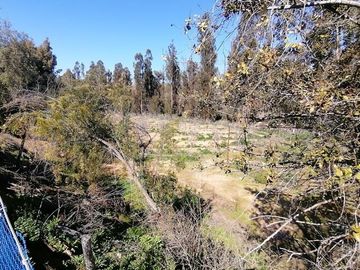 Parcela en Venta en Fundo Los Perales