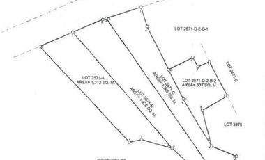 4640 sqm Commercial Lot For Sale In Mandaue City