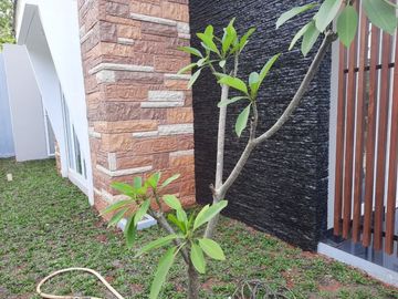 Rumah Cantik Siap Huni Di Sektor 9 Bintaro (Cpa 4151.BR)