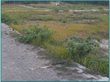 Dekat Kampus UMY⁣⁣, Tanah Kavling Murah: Angsuran Tanpa Bunga