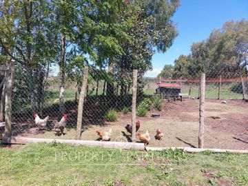 Acogedora casa en Country Villarrica