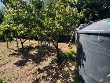 Parcela,8dorm7baños,estar,piscina,frutales,7estacionamientos